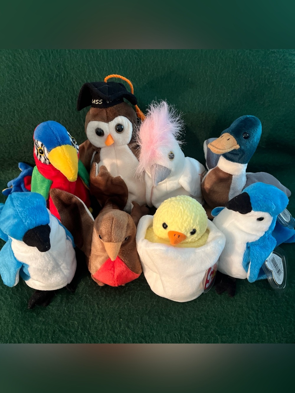 NWT 1998 Lot Of 8 Bird Themed Beanie Babies Colorful Rainbow Pride